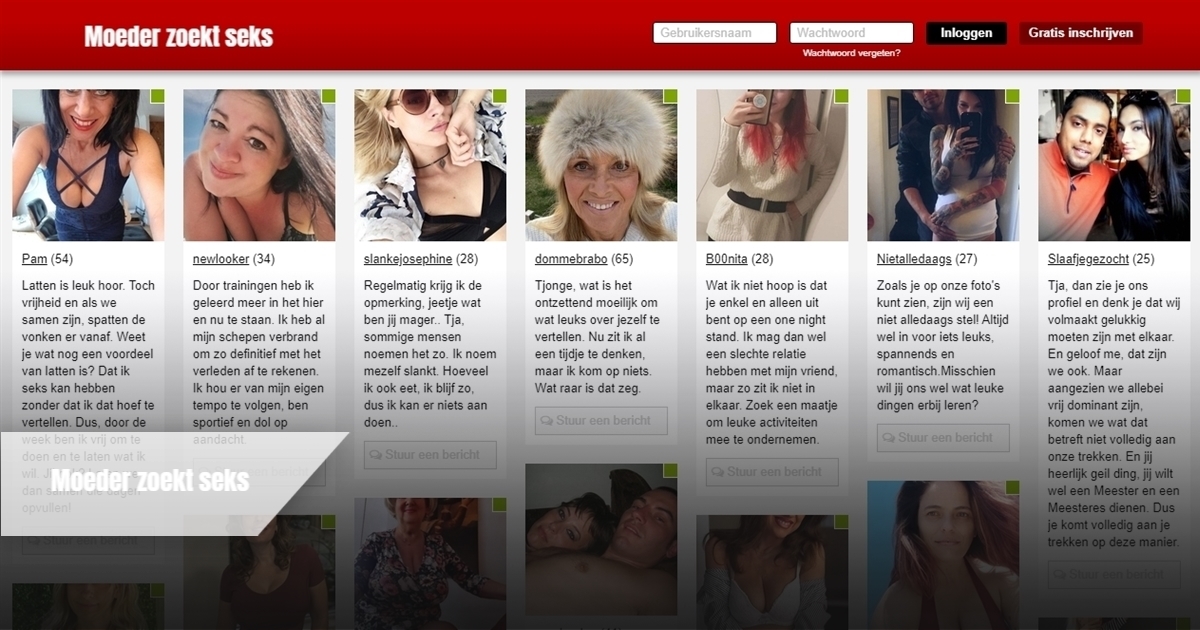 moederzoektseks is een fictieve erotische chatdienst met fake profielen van sexy vrouwen en op zoek naar erotische gesprekken online